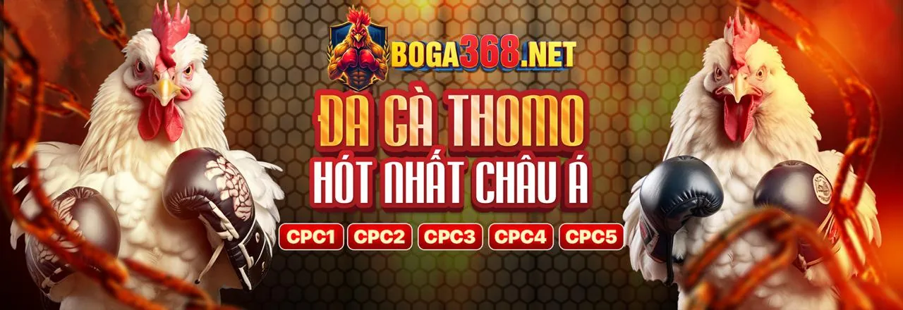 Hình ảnh tổng quan nền tảng c168b nhà cái